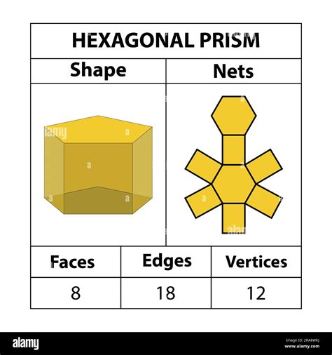 faces of a hexagonal prism|net of a hexagonal prism.